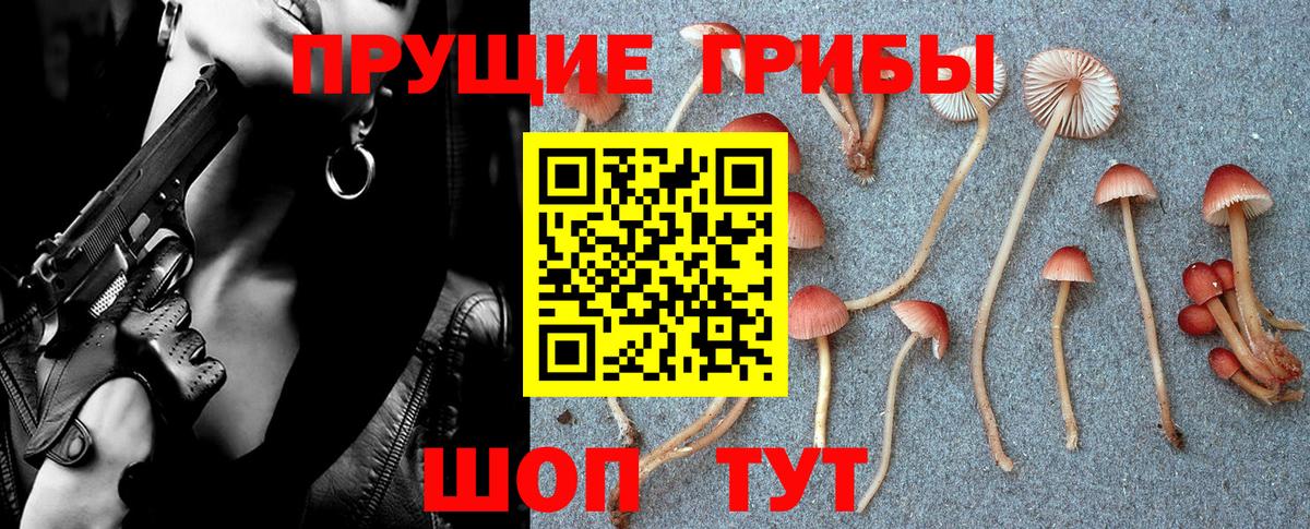 Псилоцибиновые грибы GOLDEN TEACHER  Галлюциногенные грибы Magic Shrooms  Коломна  Вход с VPN 